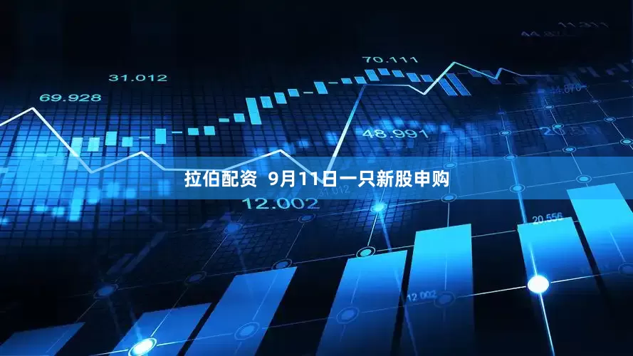 拉伯配资  9月11日一只新股申购