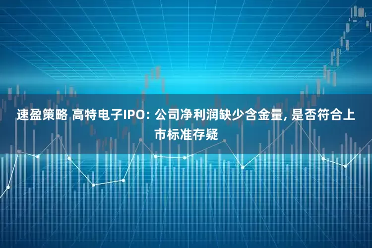 速盈策略 高特电子IPO: 公司净利润缺少含金量, 是否符合上市标准存疑
