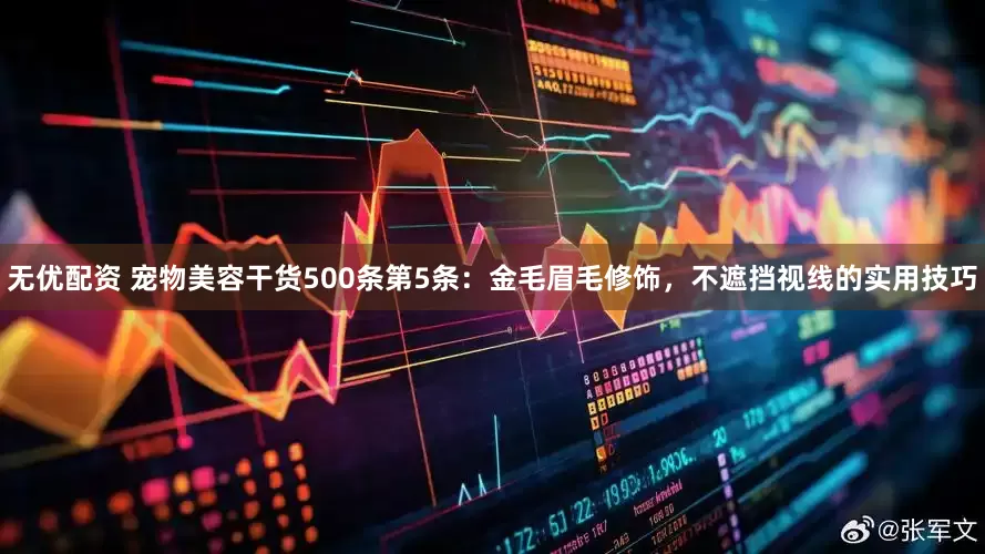 无优配资 宠物美容干货500条第5条：金毛眉毛修饰，不遮挡视线的实用技巧